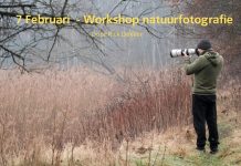 Fotograferen in context in het Alblasserbos met Rick Dekker