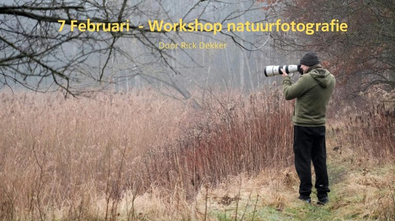 Fotograferen in context in het Alblasserbos met Rick Dekker