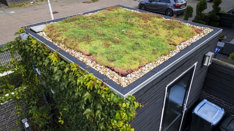 Gemeente helpt bij aanleg groendak