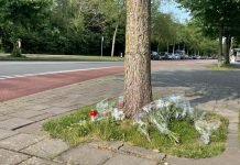 Abdalla valt in slaap en rijdt voetganger dood, rechter geeft hem celstraf