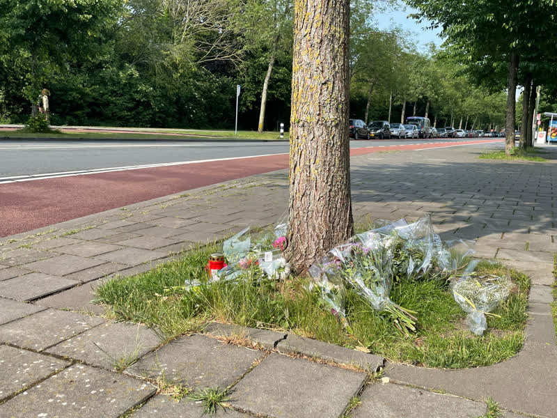 Abdalla valt in slaap en rijdt voetganger dood, rechter geeft hem celstraf