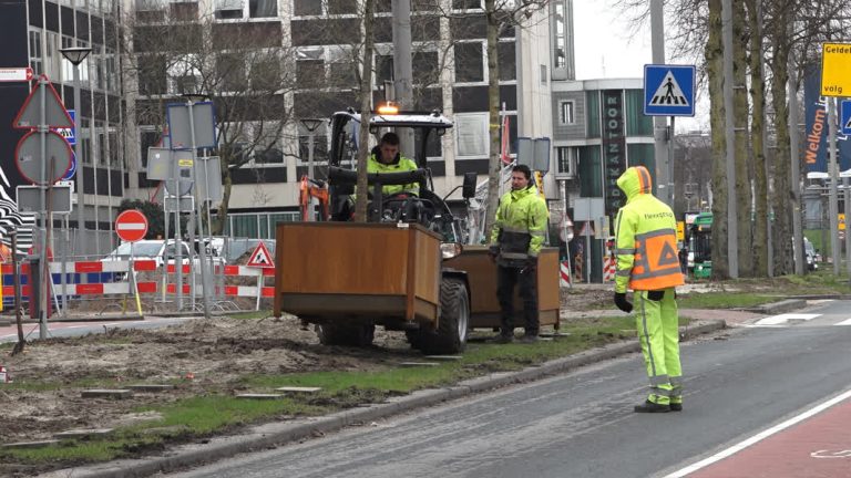 39 bomen in bakken geplaatst: eerst tijdelijk, later voor vast