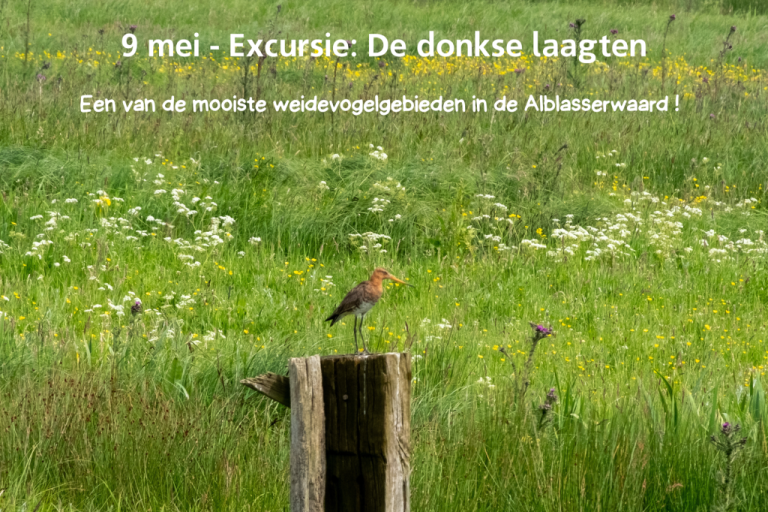Excursie Donkse Laagten
