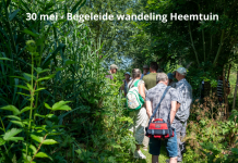 Wandeling in Heemtuin bij Alblasserbos