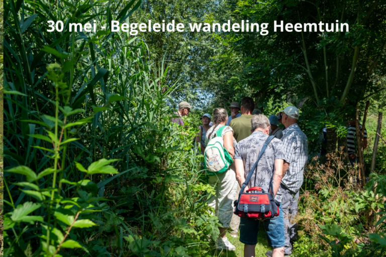 Wandeling in Heemtuin bij Alblasserbos