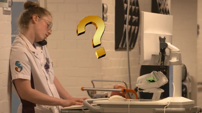 albert schweitzer computery