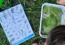 Jeugd ontdekt het leven in en rond de sloot tijdens Weekend van de Natuur