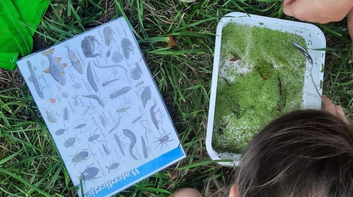 6-juni-Slootjesactiviteit