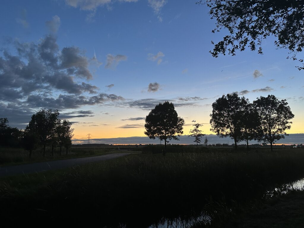 Avondschemer wandeling in het Alblasserbos – 15 juli