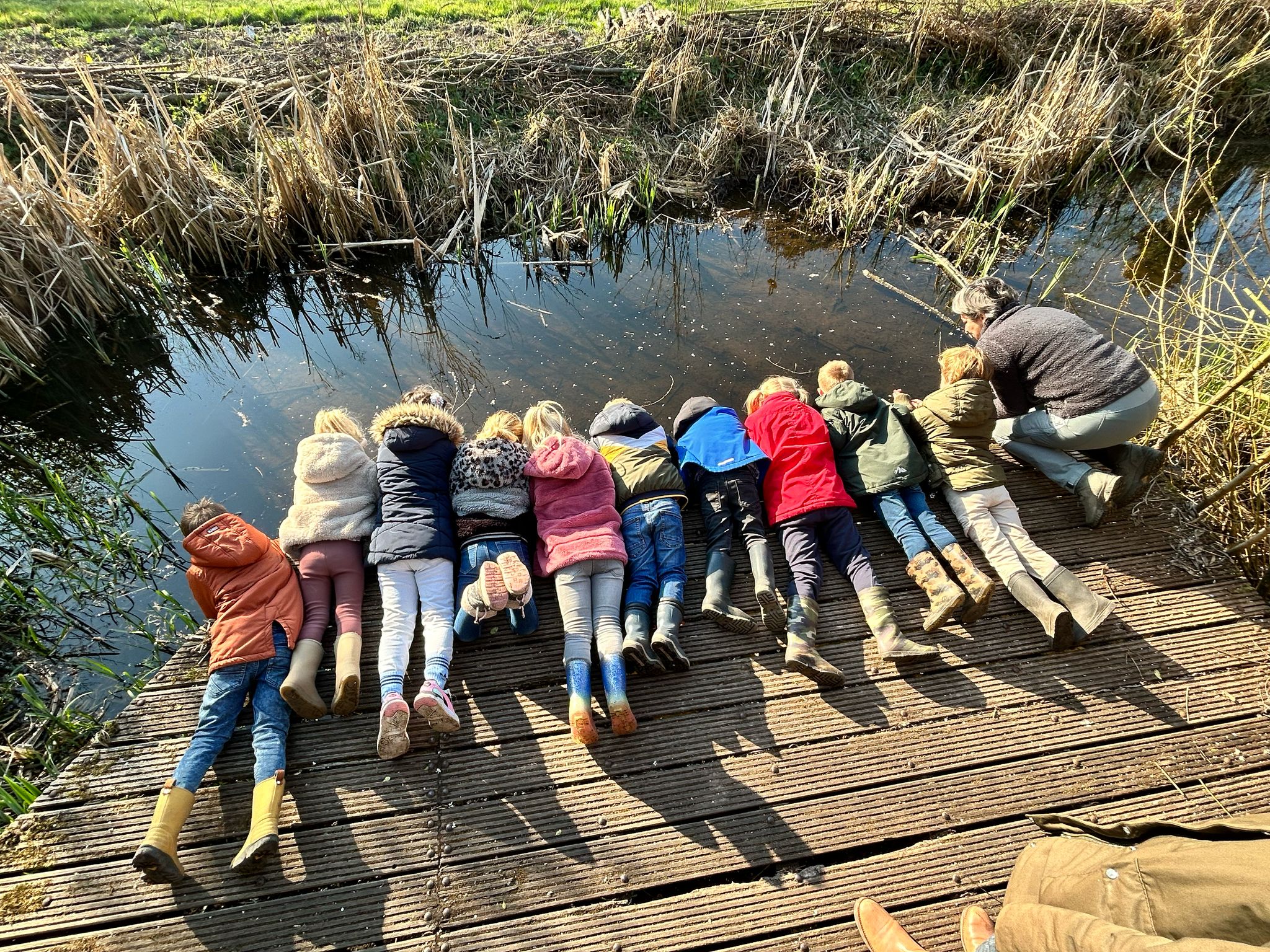 Natuur- en Vogelwacht zoekt nieuwe schoolgidsen
