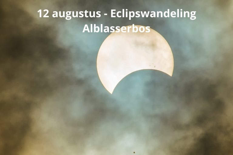 Beleef de zeldzame zonsverduistering in het Alblasserbos