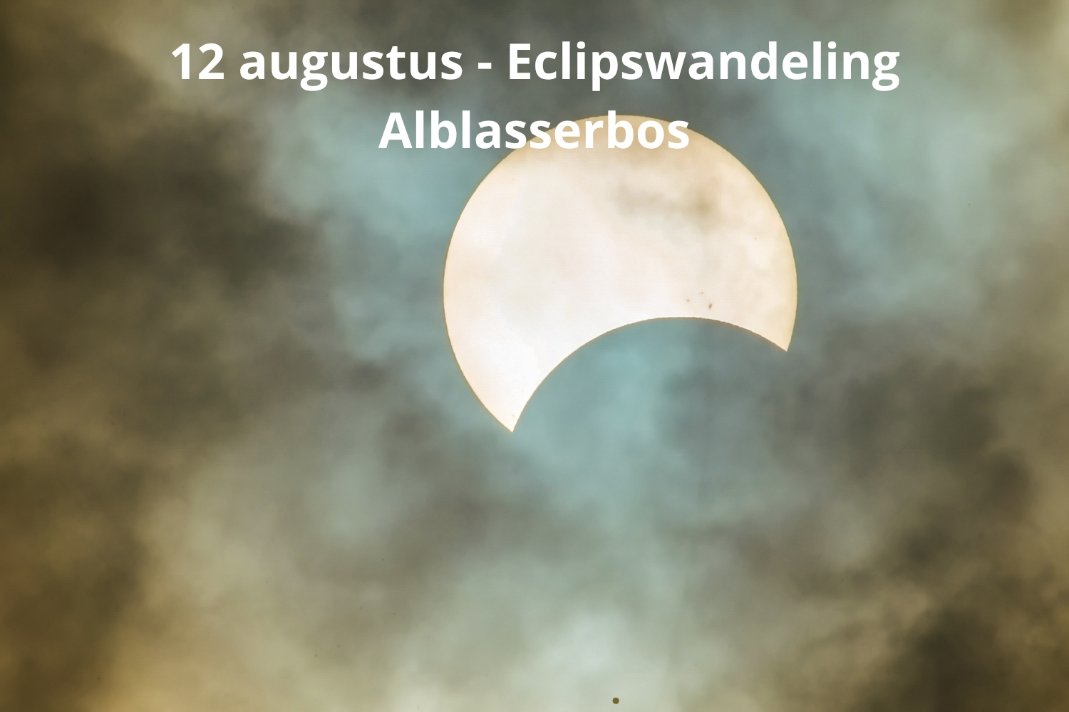 Beleef de zeldzame zonsverduistering in het Alblasserbos