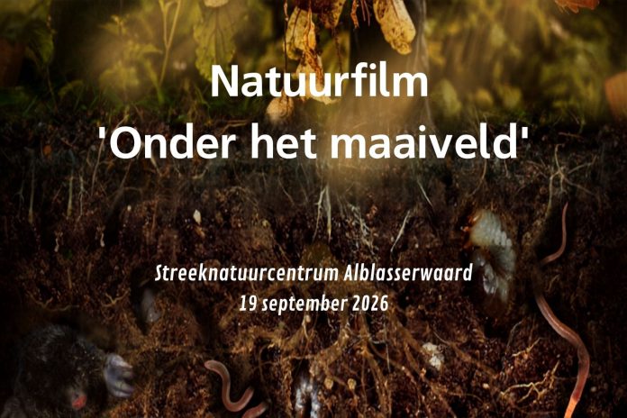 Onder het maaiveld