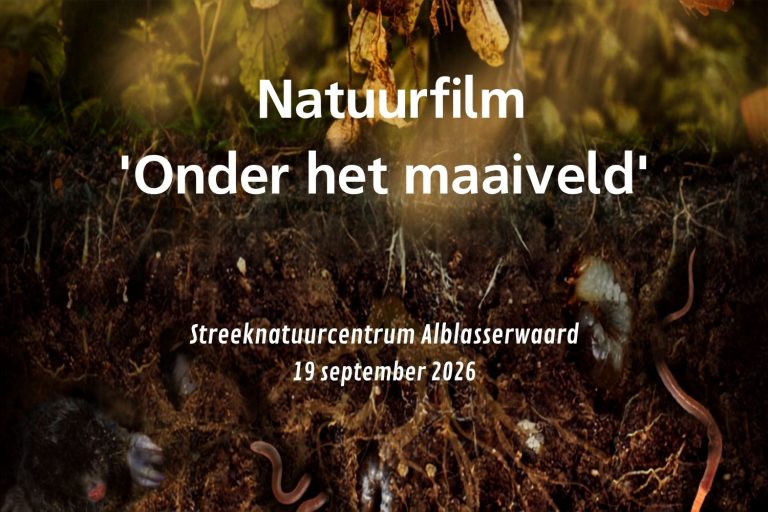 Natuurfilm Onder het Maaiveld: ontdek de verborgen wereld onder onze voeten