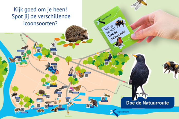 Poster puurpapendrecht natuurroute