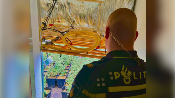 politie agent hennepkwekerij pol_ddt insta