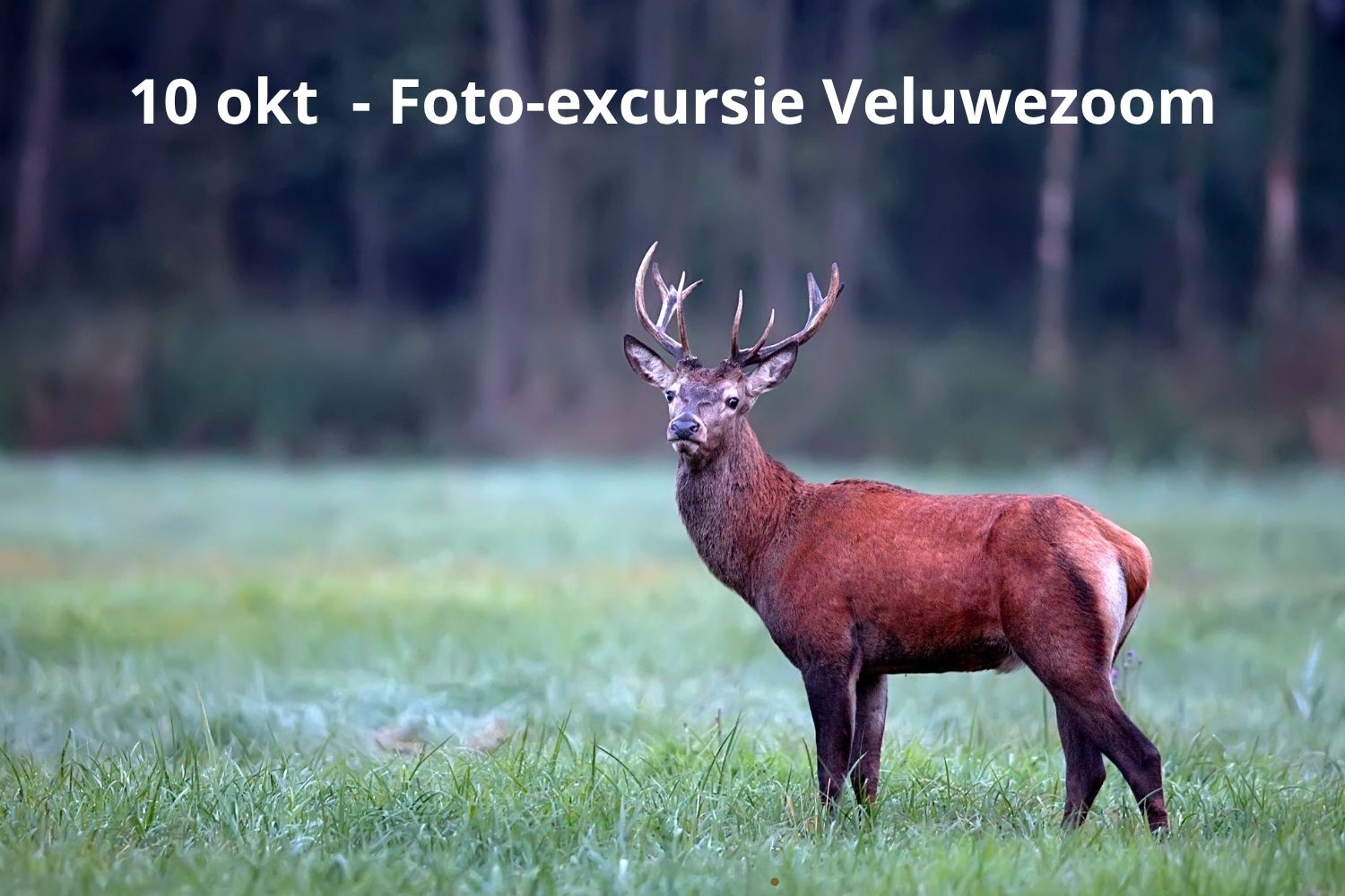 Met de camera op pad op de Veluwezoom